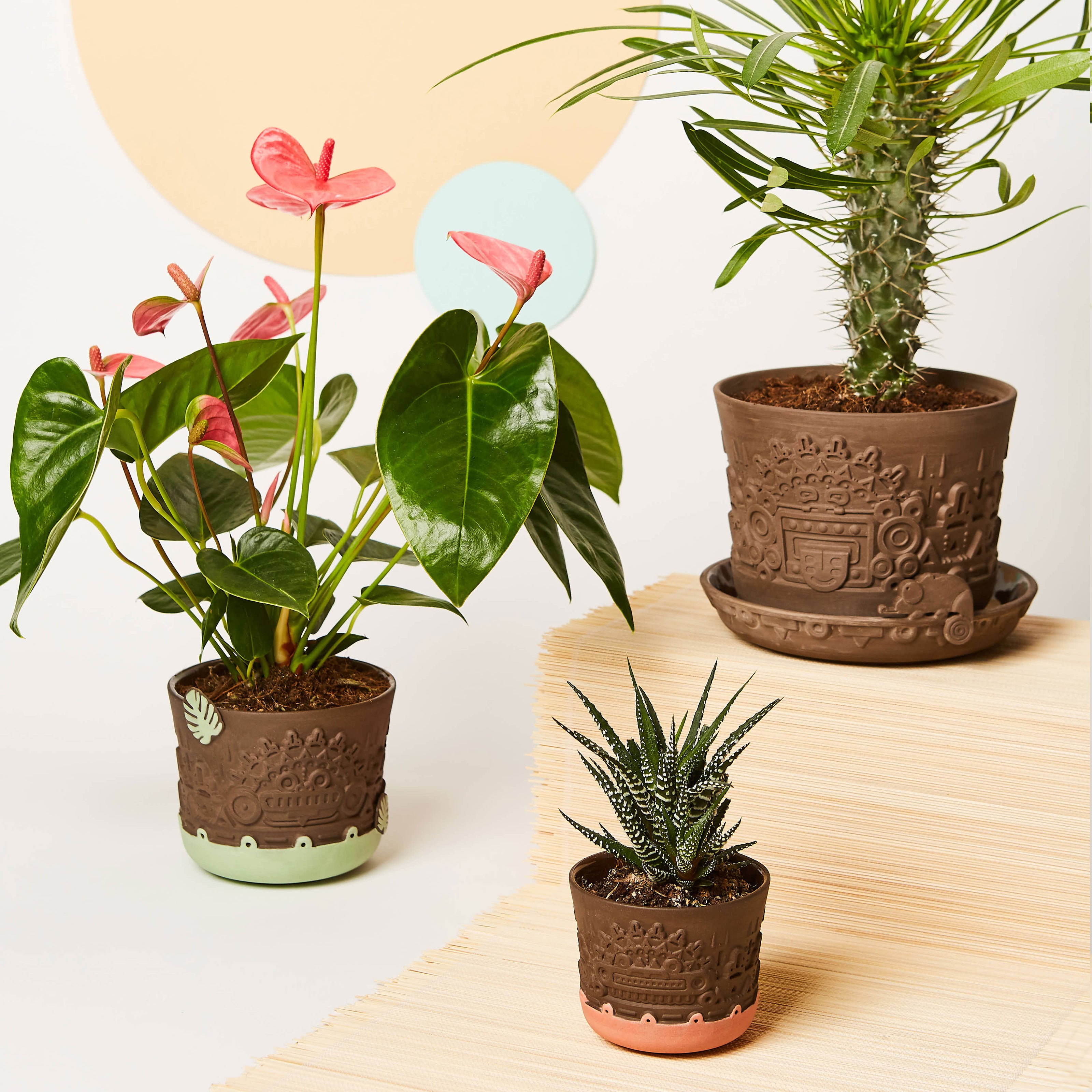 Manoa II Pflanztopf-Set und Blumentöpfe