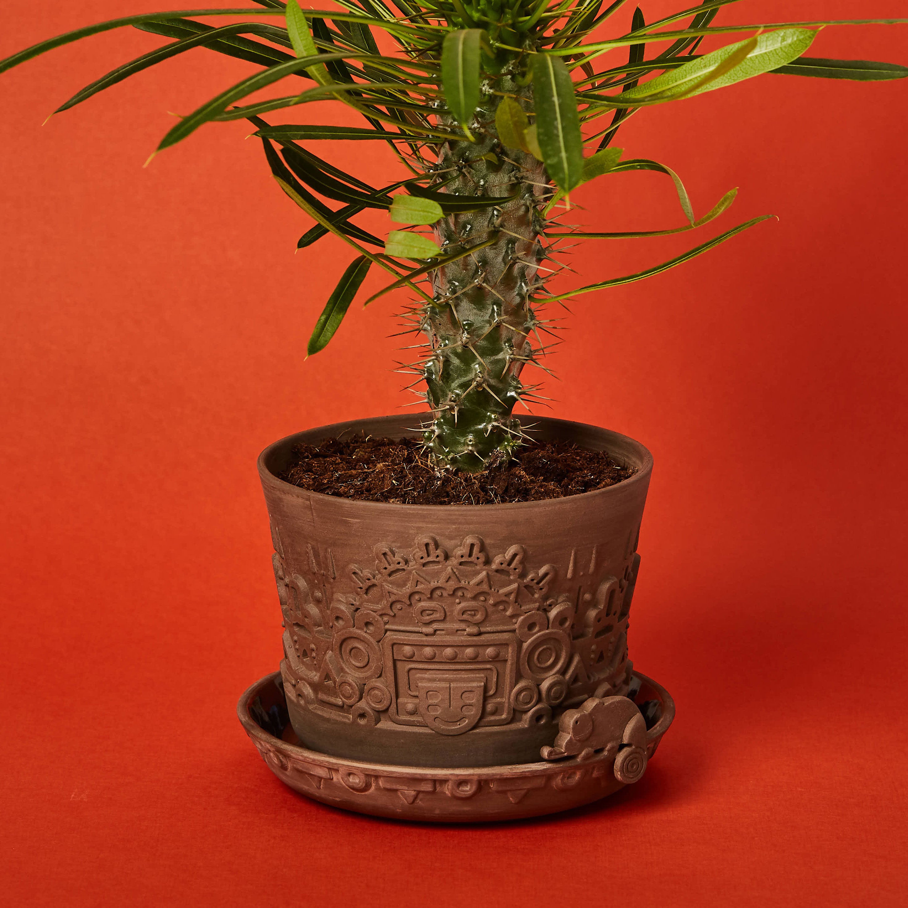 Manoa II Pflanztopf-Set L