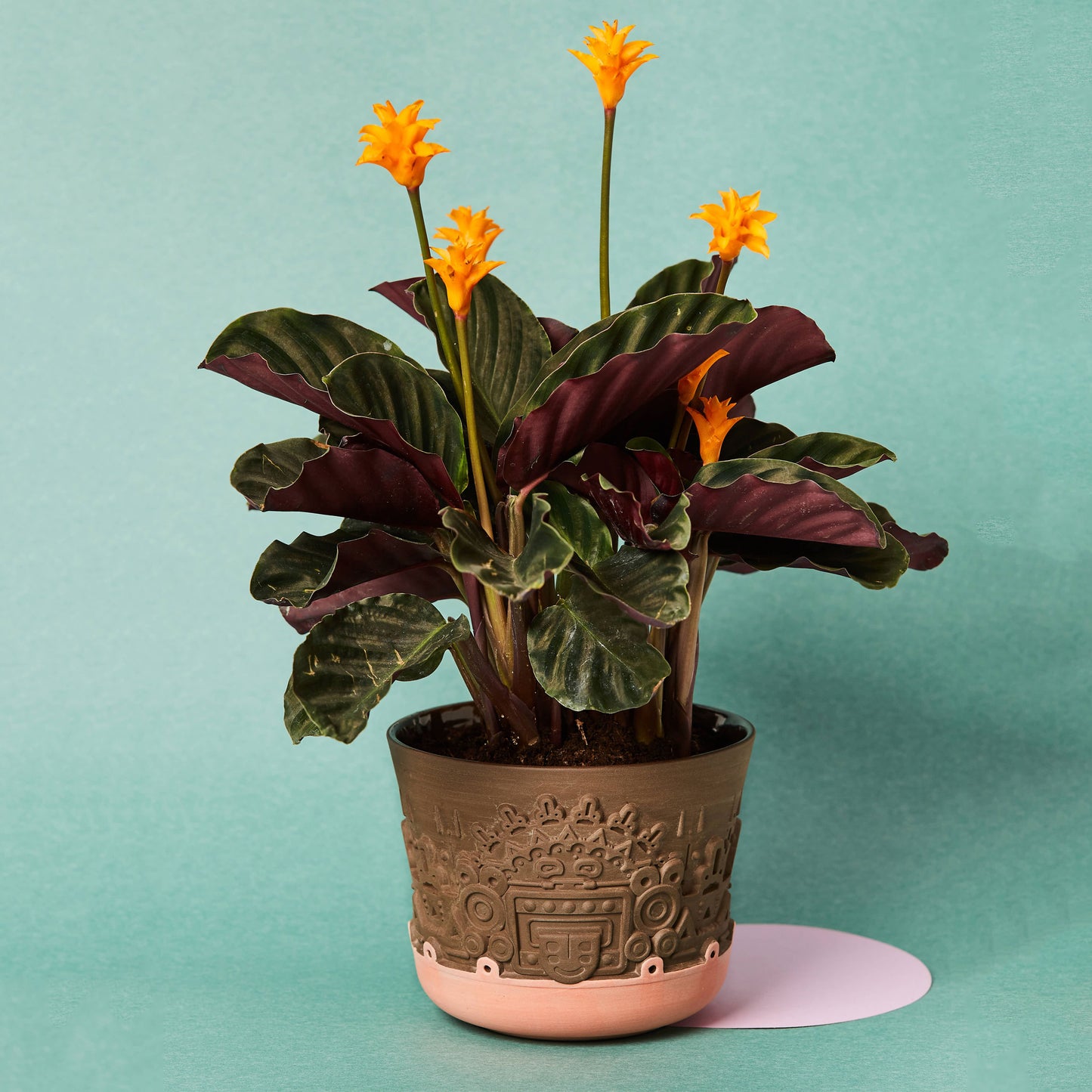 Blumentopf, Größe M